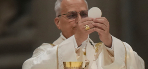 Pope Leo Rebukes Signature Donald Trump Phrase