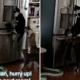 Woman Noticed Food in Fridge Kept Disappearing—So She Set Up Hidden Camera