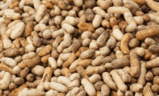 Peanut recall update for 19 states as FDA sets risk level