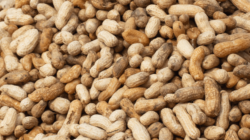 Peanut recall update for 19 states as FDA sets risk level