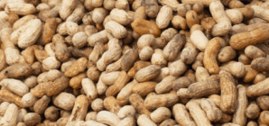 Peanut recall update for 19 states as FDA sets risk level
