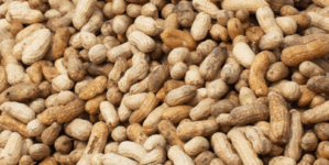 Peanut recall update for 19 states as FDA sets risk level
