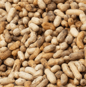 Peanut recall update for 19 states as FDA sets risk level