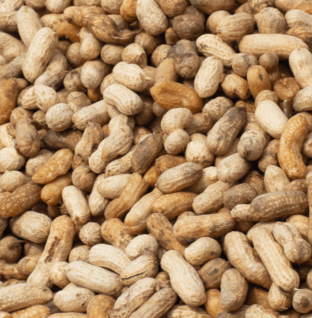Peanut recall update for 19 states as FDA sets risk level