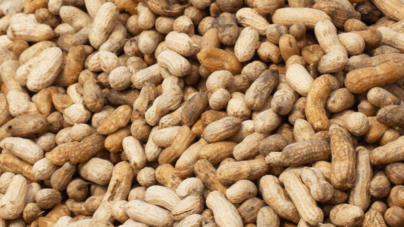 Peanut recall update for 19 states as FDA sets risk level