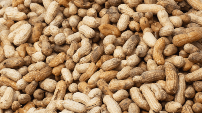 Peanut recall update for 19 states as FDA sets risk level