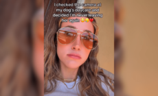 Dog Owner Checks Day Care Camera, Unprepared for ‘Mom Guilt’ She Feels