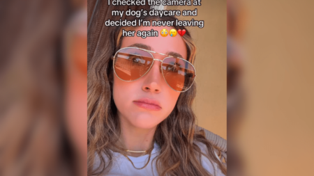 Dog Owner Checks Day Care Camera, Unprepared for ‘Mom Guilt’ She Feels